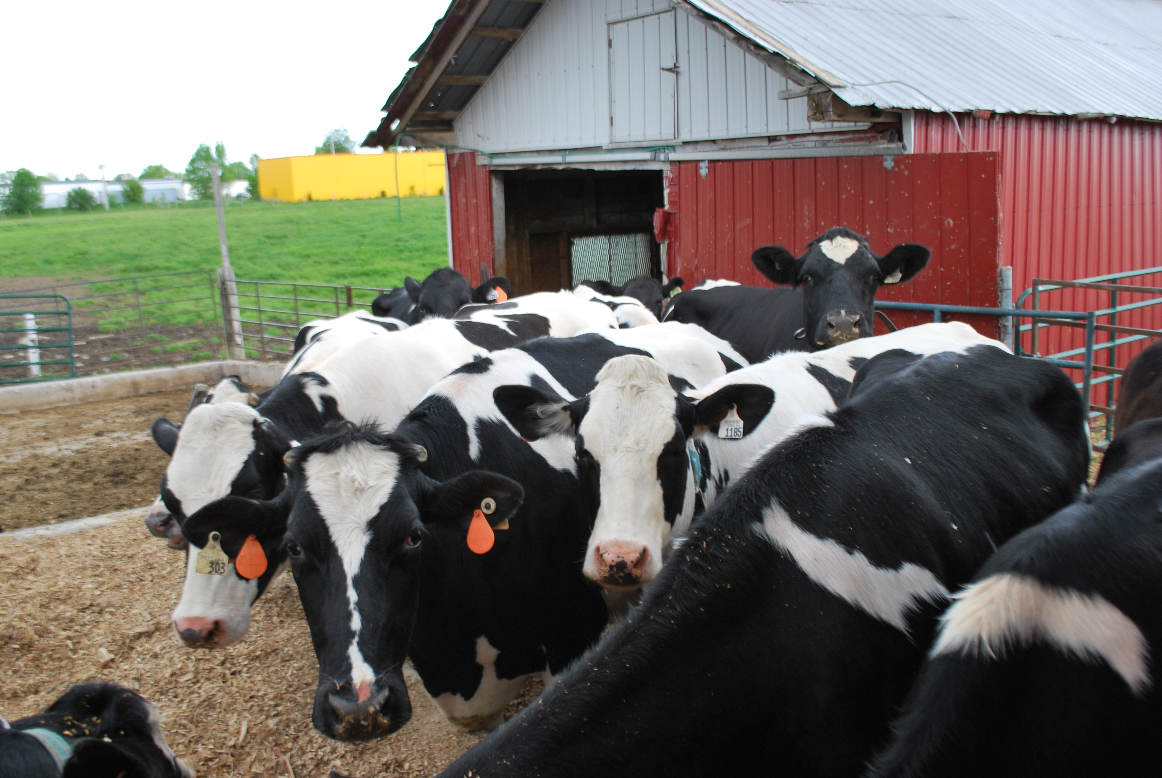 AgriWorkplace Skills Training Program | CAHRC-CCRHA