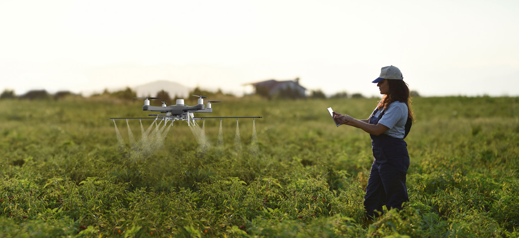 Farmer in a field using a drone