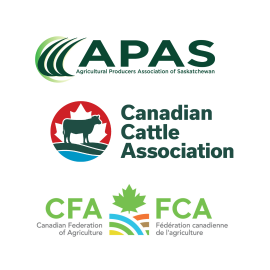 apas, cca, cfa