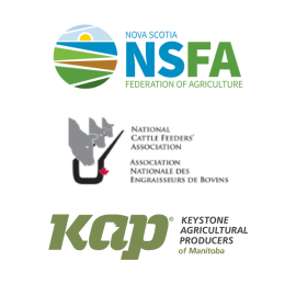 nsfa, ncfa, kap