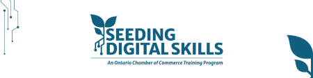 seeding digital skills banner