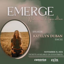 emerge poster