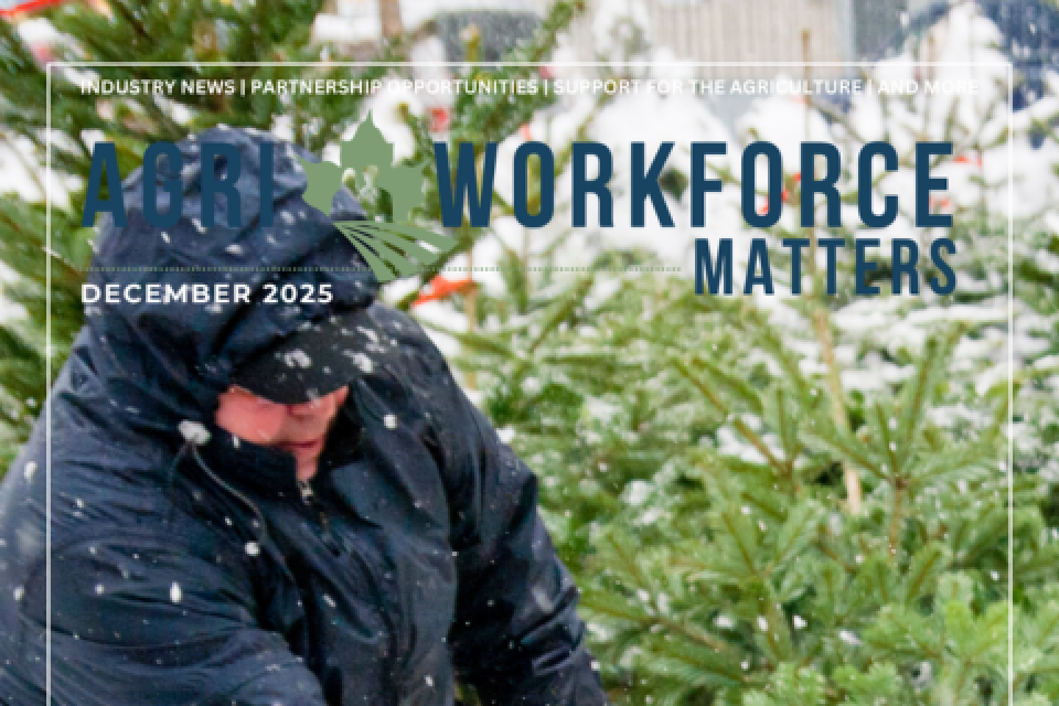 Magazine cover thumbnail