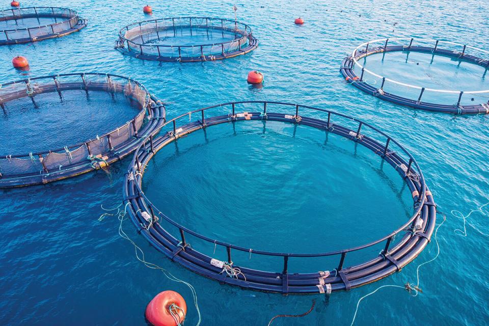 Aquaculture