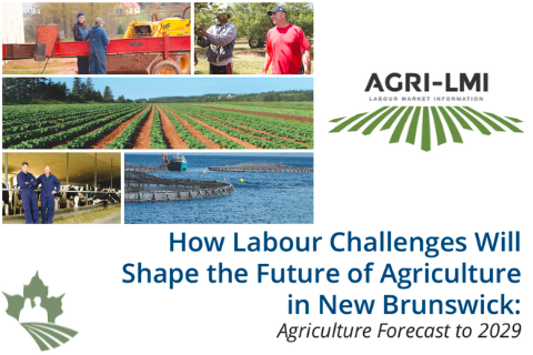 How Labour Challenges Will Shape the Future of Agriculture in New Brunswick