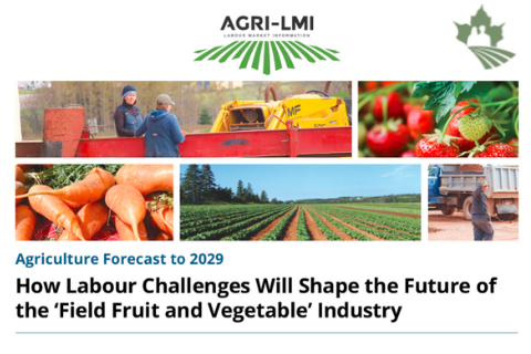 How Labour Challenges Will Shape the Future of Fruit and Vegetable