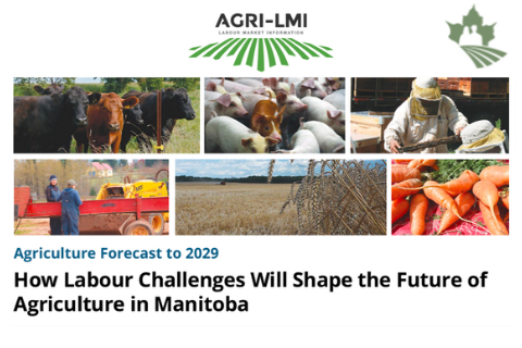 How Labour Challenges Will Shape the Future of Manotiba
