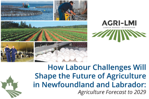 How Labour Challenges Will Shape the Future of Agriculture in Newfoundland and Labrador