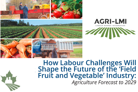 How Labour Challenges Will Shape the Future of the Field Fruit and Vegetable Industry