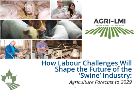 How Labour Challenges Will Shape the Future of the Poultry and Egg Industry