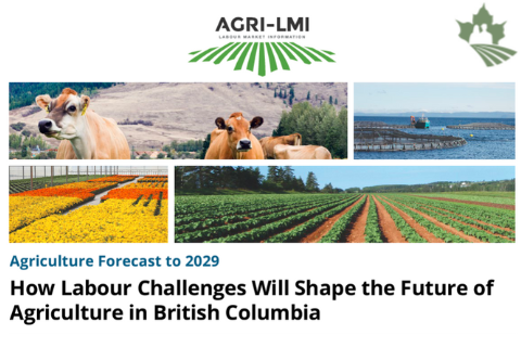 How Labour Challenges Will Shape the Future of British Columbia