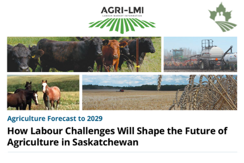 How Labour Challenges Will Shape the Future of Saskatchewan