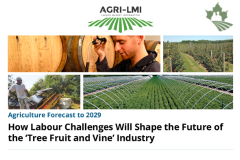 How Labour Challenges Will Shape the Future of Tree Fruit and Vine Industry