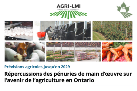 Répercussions des pénuries de main-d’oeuvre sur l’avenir de l’agriculture en Ontario