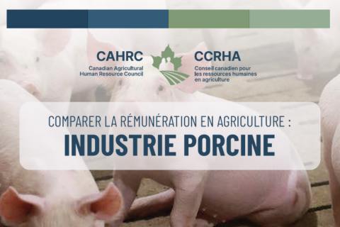 Vignette de l'industrie porcine