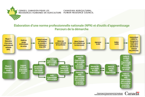 Élaboration d’une norme professionnelle nationale (NPN) et d’outils d’apprentissage : Parcours de la démarche
