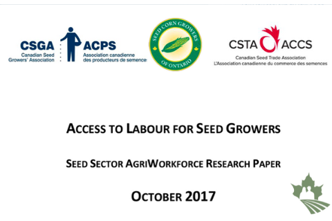 Access to Labour: Seed Sector AgriWorkforce Research Paper
