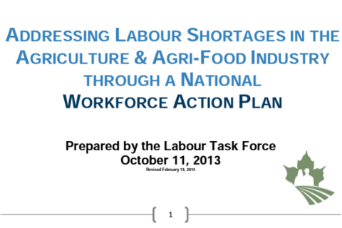 Addressing Labour Shortages in the Agriculture & Agri-Food Industry through a National Workforce Action Plan