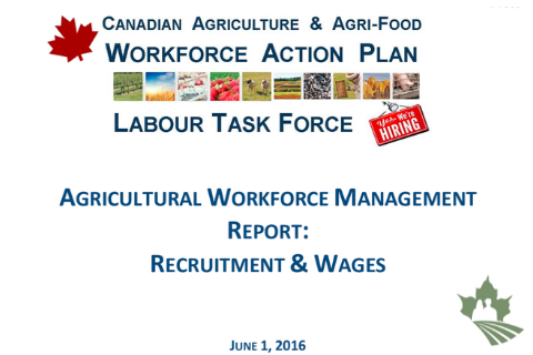 Agricultural Workforce Management Report: Recruitment & Wages
