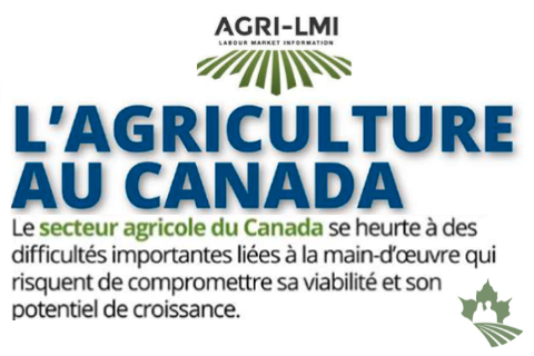 Difficultés liées à la main d'oeuvre : L'agriculture au Canada