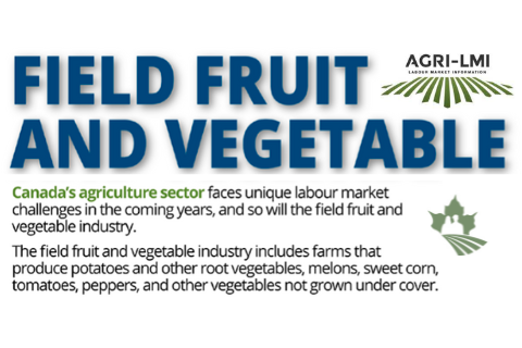 Field Fruit and Vegetable Infographic