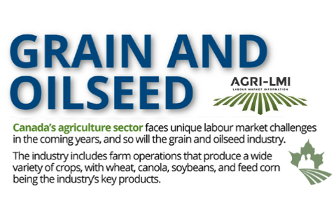 Grain and Oilseed Infographic