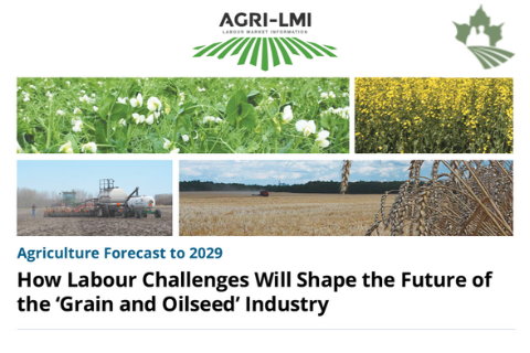 How Labour Challenges Will Shape the Future of Grape and Oilseed Industry