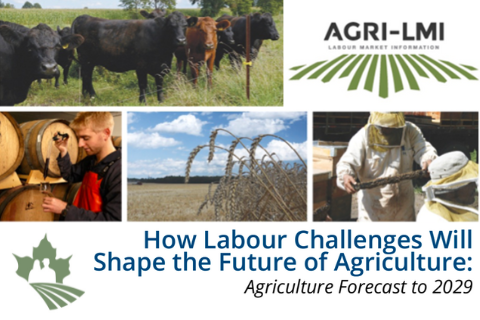 How Labour Challenges Will Shape the Future of Agriculture: Agriculture Forecast to 2029