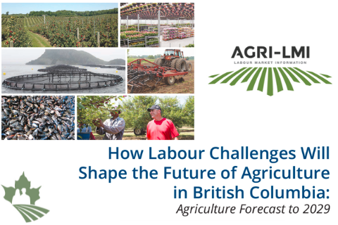 How Labour Challenges Will Shape the Future of Agriculture in British Columbia
