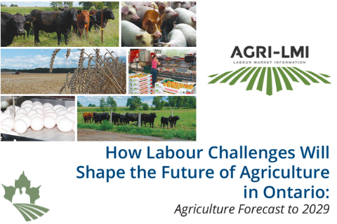 How Labour Challenges Will Shape the Future of Agriculture in Ontario