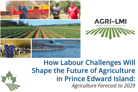 How Labour Challenges Will Shape the Future of Agriculture in Prince Edward Island