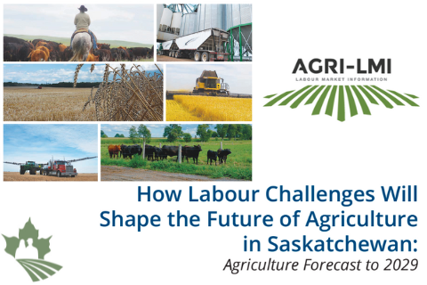 How Labour Challenges Will Shape the Future of Agriculture in Saskatchewan: