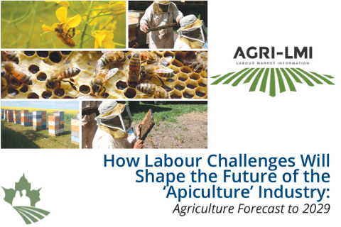 How Labour Challenges Will Shape the Future of the Apiculture Industry