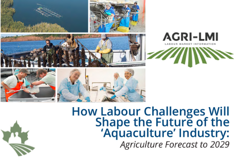 How Labour Challenges Will Shape the Future of the Aquaculture Industry