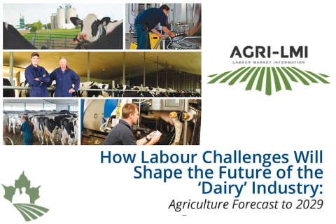 How Labour Challenges Will Shape the Future of the Dairy Industry