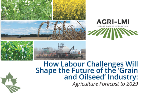 How Labour Challenges Will Shape the Future of the Grain and Oilseed Industry