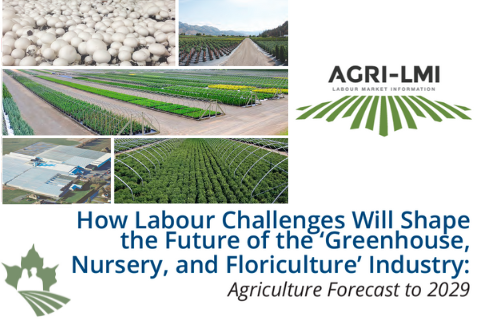 How Labour Challenges Will Shape the Future of the Greenhouse, Nursery, and Floriculture Industry