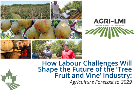 How Labour Challenges Will Shape the Future of the Tree Fruit and Vine Industry