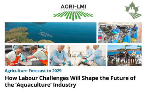 How Labour Challenges Will Shape the Future of Aquaculture Industry