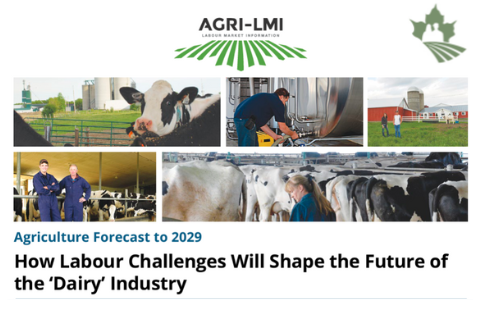How Labour Challenges Will Shape the Future of Dairy Industry