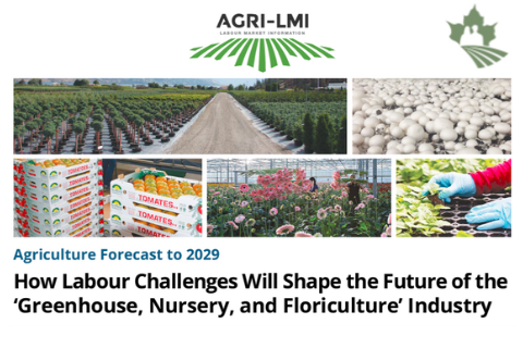 How Labour Challenges Will Shape the Future of Greenhouse,Nursery, and Floriculture