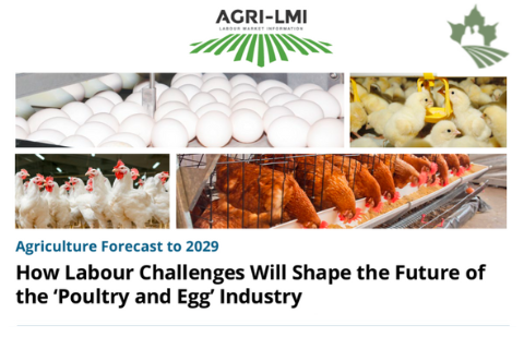 How Labour Challenges Will Shape the Future of Poultry and Egg