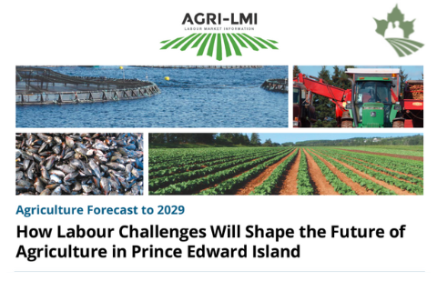 How Labour Challenges Will Shape the Future of Prince Edward Island