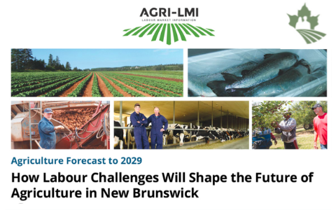 How Labour Challenges Will Shape the Future of New Brunswick