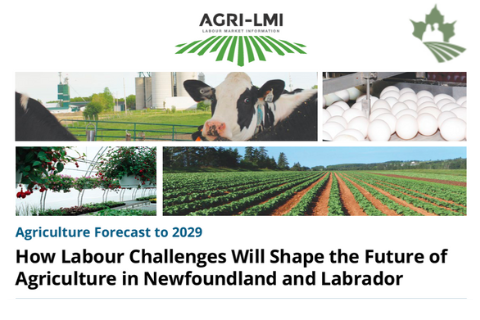 How Labour Challenges Will Shape the Future of Newfoundland and Labrador
