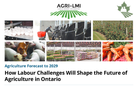 How Labour Challenges Will Shape the Future of Ontario