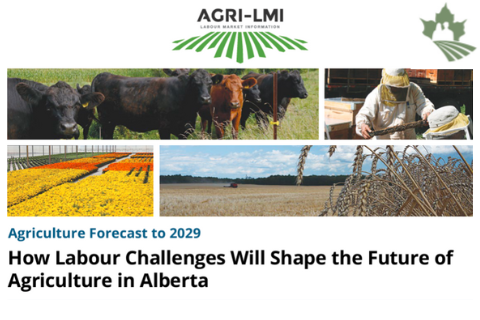How Labour Challenges Will Shape the Future of Alberta