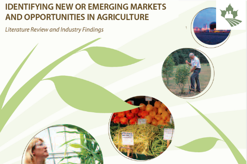 Identifying New or Emerging Markets and Opportunities in agriculture: Final Report