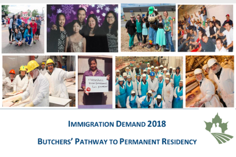 Immigration Demand 2018: Butchers’ Pathway to Permanent Residency
