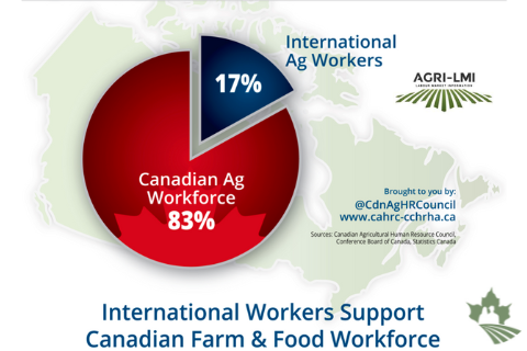 International Workers Infographic
